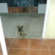 Fiona