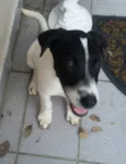 Menino