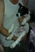 Menino