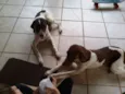 Bruno e Lina