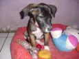BELINHA