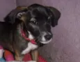 BELINHA