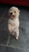 luke