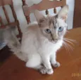 Bella