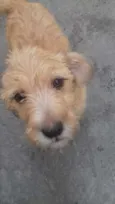 Mel