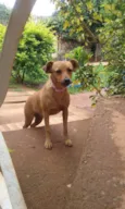 Paçoca