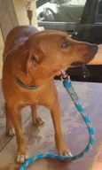 Lupita