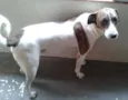 bili