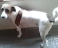 bili