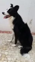 Paco