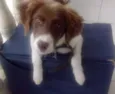 Beethoven