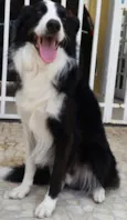 Paco
