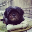 Keiko