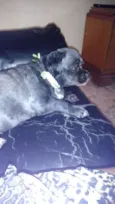 Keiko