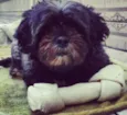 Keiko