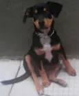 sofia