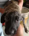 Ted