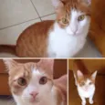 Fred