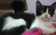 Mimi