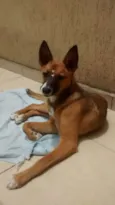 Mel