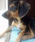 Peteca