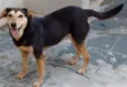 Juju