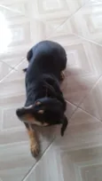 Neguinha