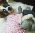 bella