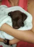 Brenda