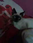 Não definido