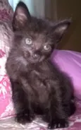 Baby