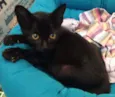 Bumi
