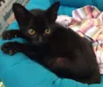 Bumi