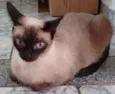 Nina