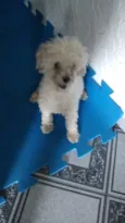 nao tem