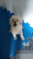 nao tem