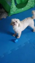 nao tem