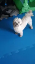 nao tem