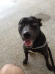 Frank