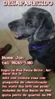 JON GRATIFICA