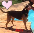Jade