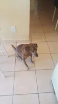 Jack