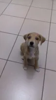 Frida