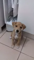 Frida