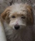 Bob