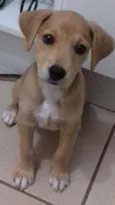 Frida