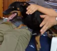 RALPH