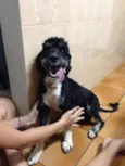 Bebê