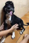 Bebê