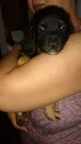 Mané